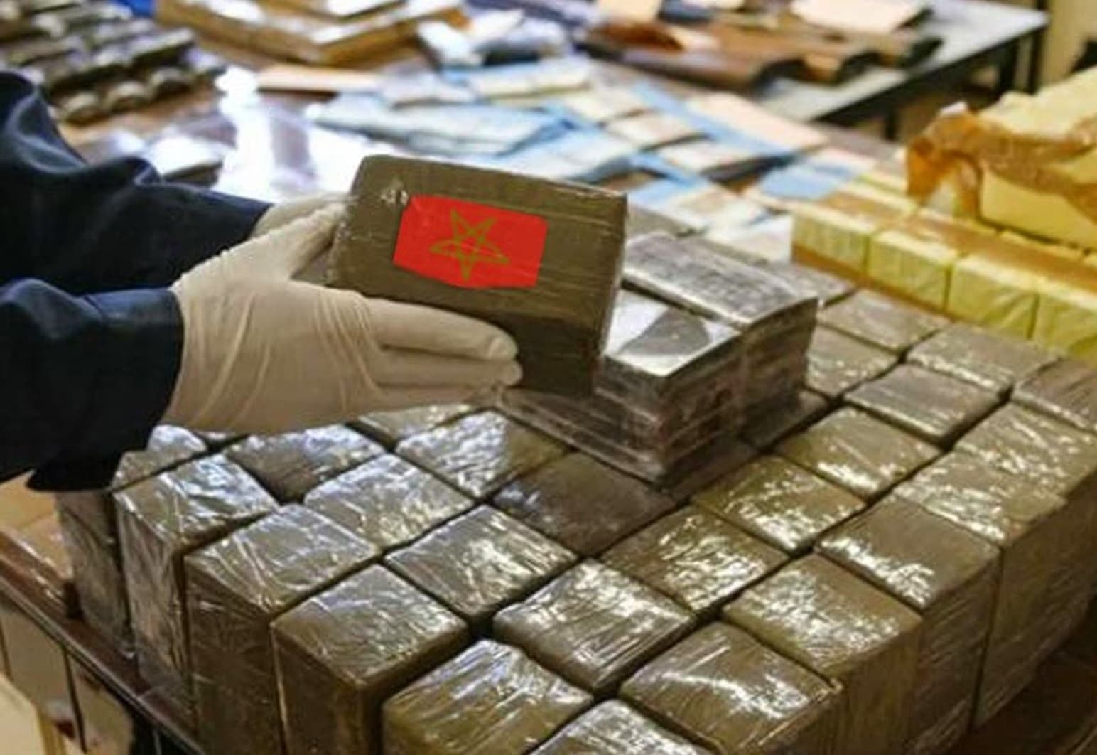 Moroccan Cannabis Trade Declines as Europe Increases Local Production, Leading Global Seizures
