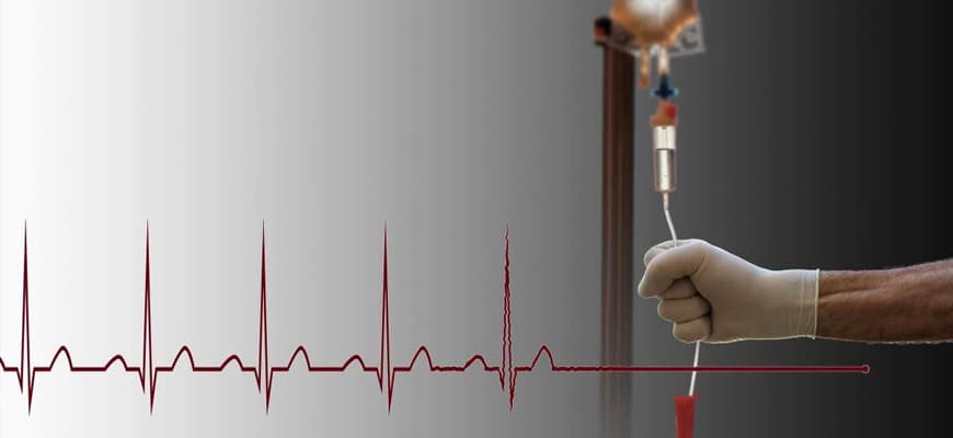 French Parliament Passes Euthanasia Law, Reports Comprehensive Moroccan Electronic Newspaper