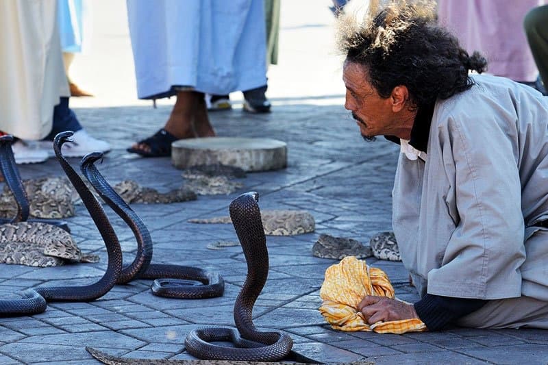 Are Hnash and Lfa'i considered locals in Morocco