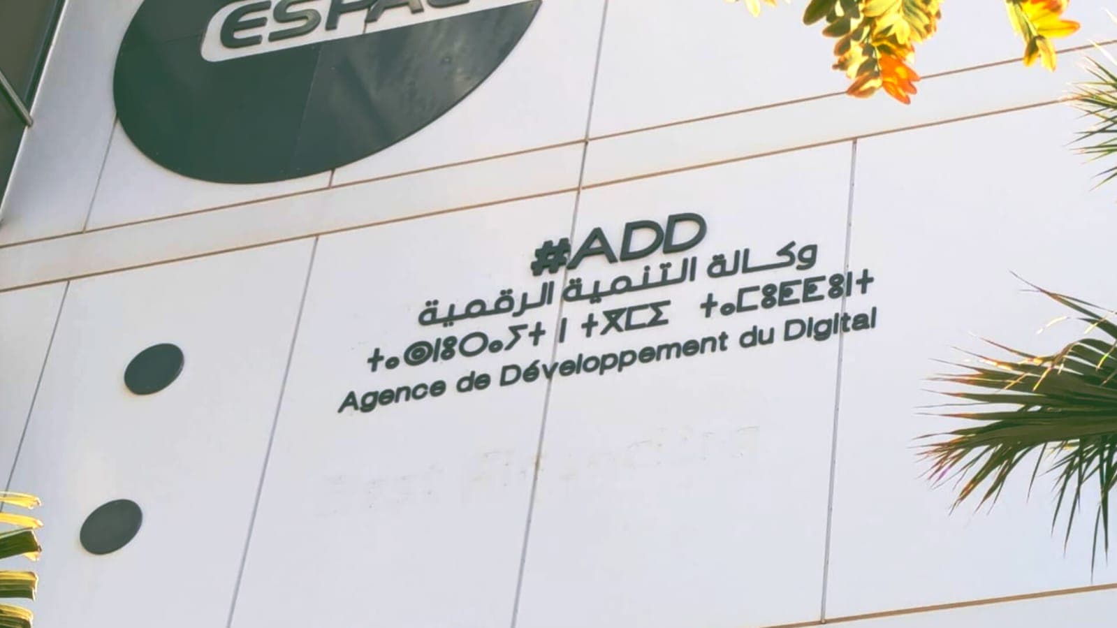 Digital Agency Faces Over 4B Losses