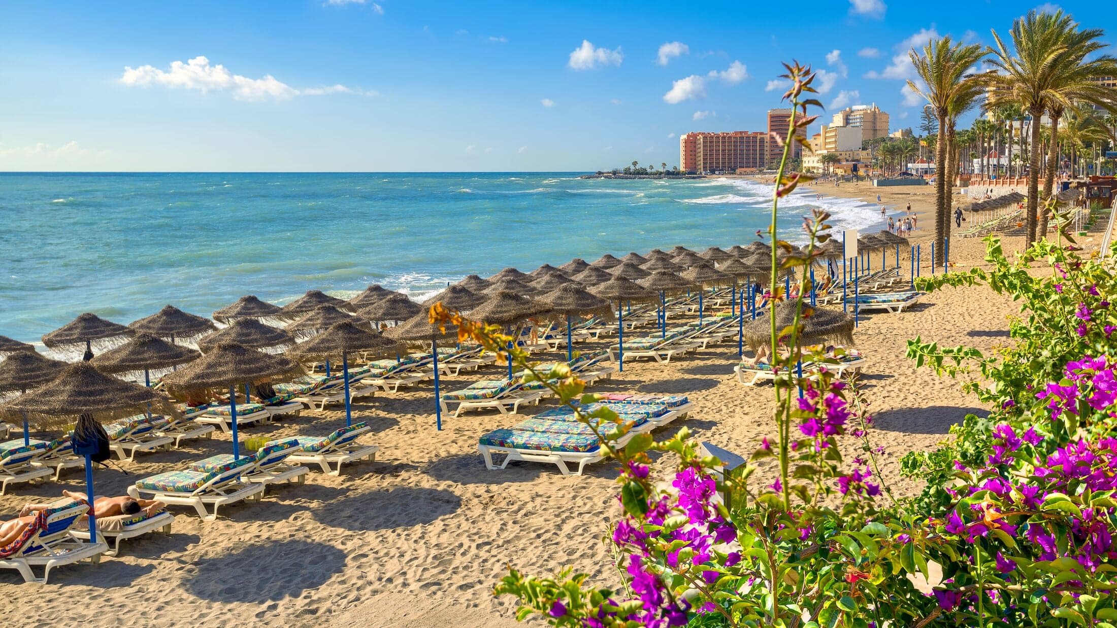 Moroccans Targeting Visa-Free Countries in 2026