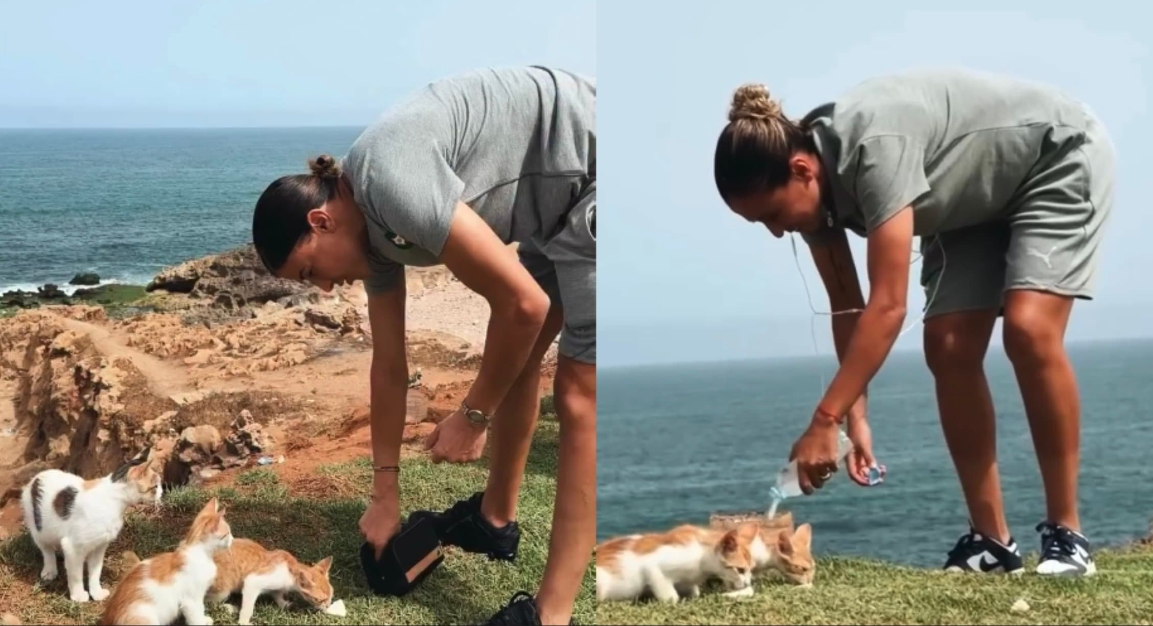 Moroccan players feed stray animals despite law