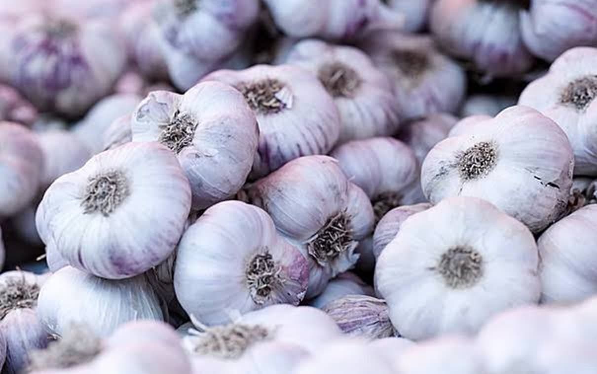 Morocco imposes garlic import permit