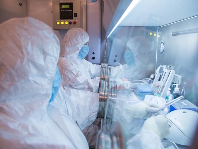 WHO clarifies Russia's current plague situation