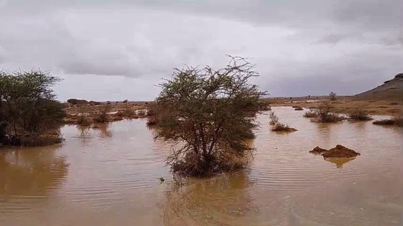 الشتاء يزف خيرًا في الصحرايا