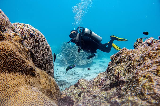 Study clarifies optimal days off
