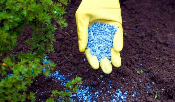 Fertilizer Impact on Soil Fertility