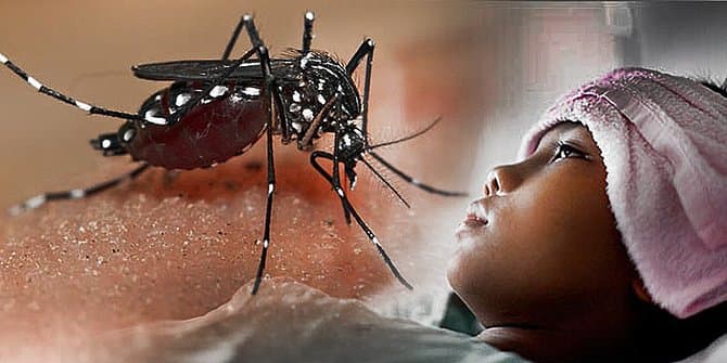 الصحة توضح تراجع حالات حمى الضنك في عمان
