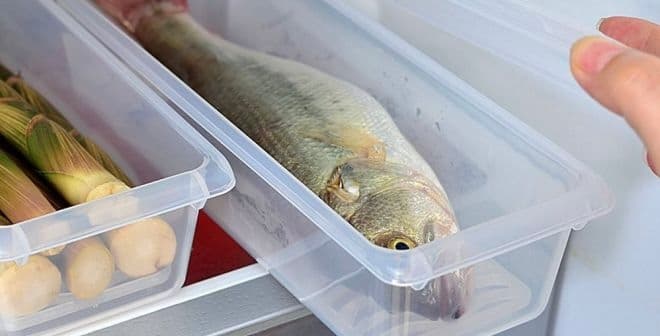 Common mistakes in fish handling leading to food poisoning