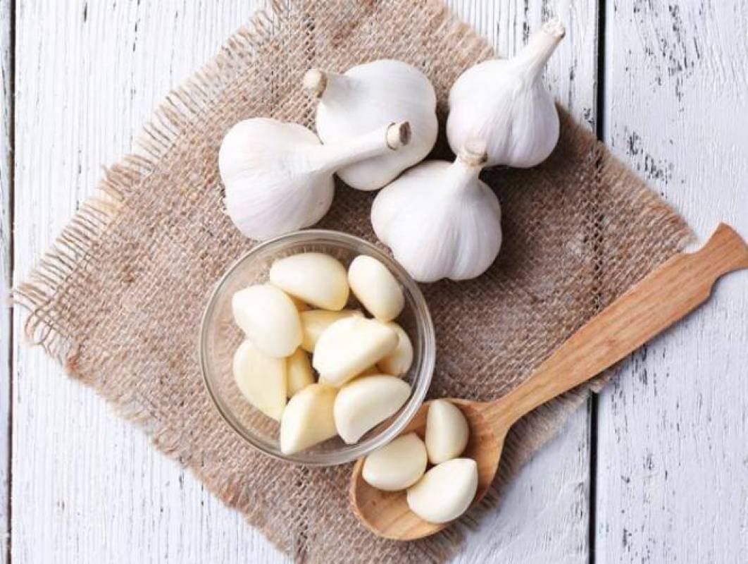 Garlic and Kidney Inflammation Debated