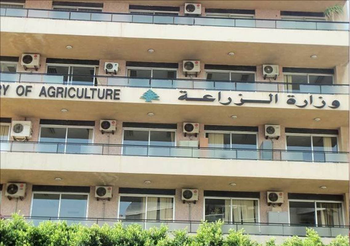 وزارة الزراعة تبدأ اليوم خدمة الشباك الموحّد