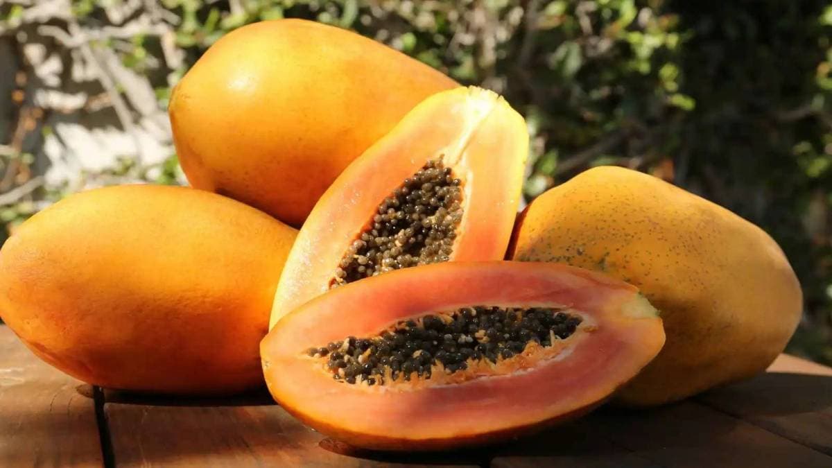 تأثير تناول البابايا يومياً لشهر