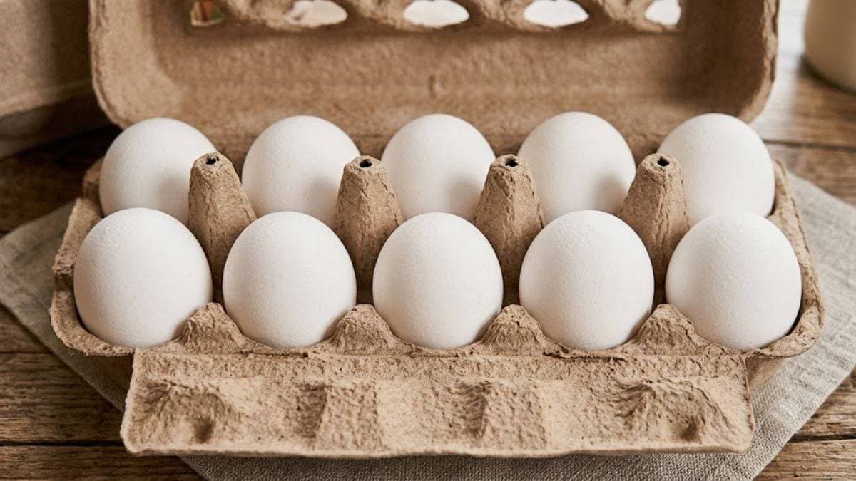 انتشار السالمونيلا في أميركا يطال البيض والهالبينو