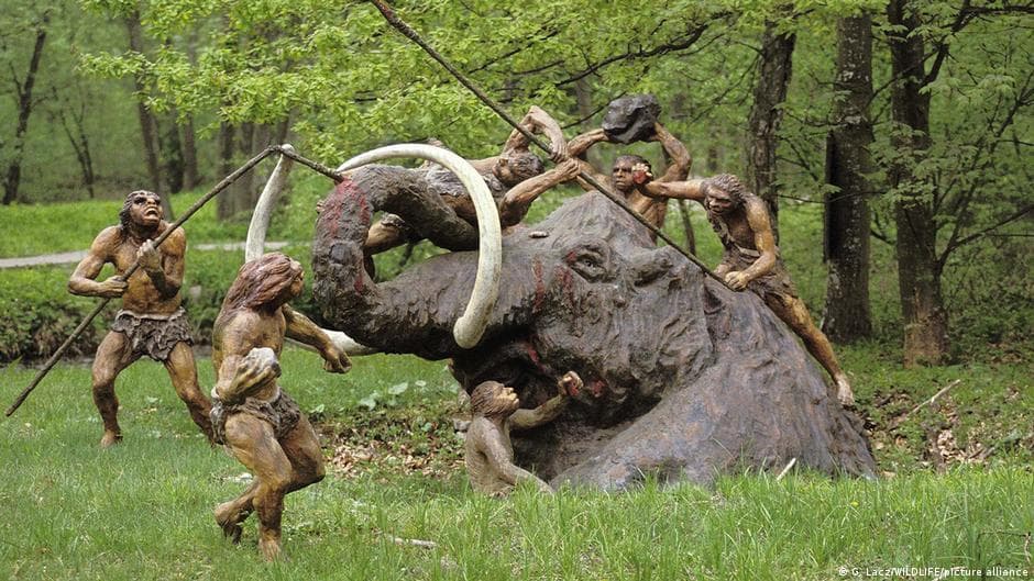 Ice Age humans' focus on female mammoth hunts