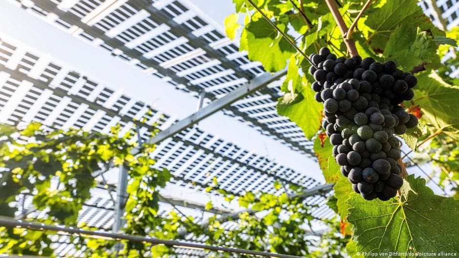 Impact of severe weather on German agriculture