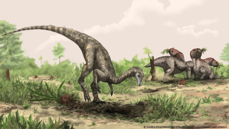 Why Small Dinosaurs Were Absent