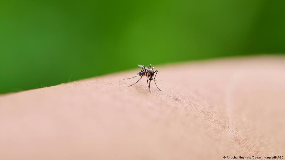 Climate Change and Malaria Spread in Africa