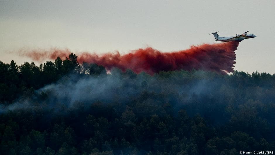 Europe's forests face ongoing fires