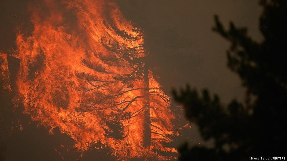 Intense Mediterranean Fire Alters Environment
