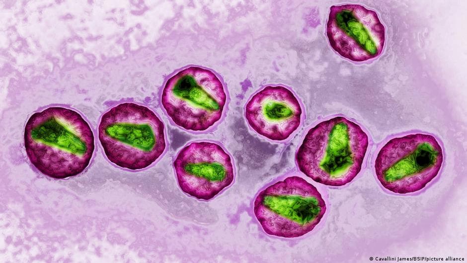 UN Warns of Rising AIDS Risk