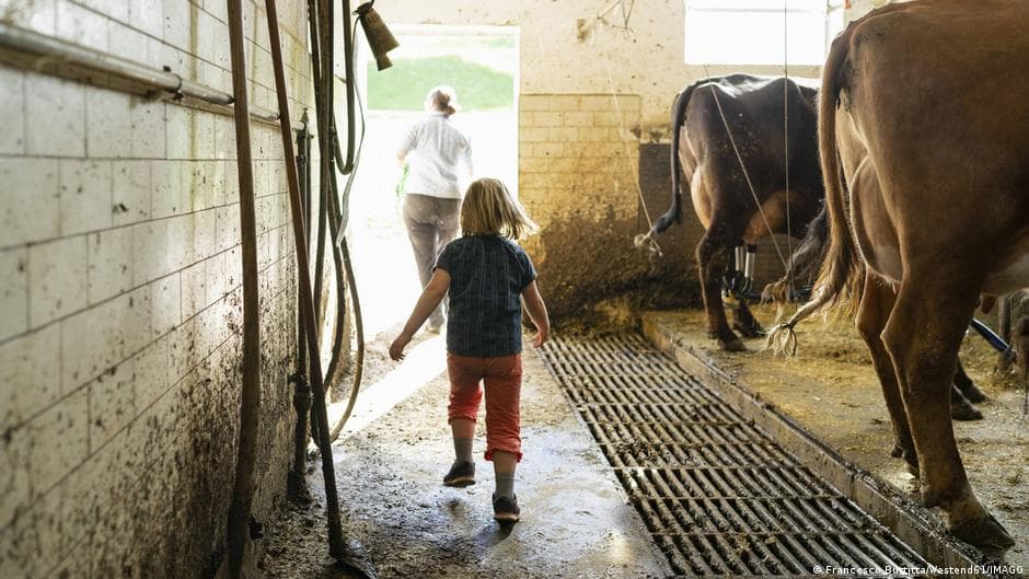 Impact of Barn Bacteria on Allergies