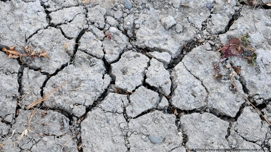 Europe drought boosts prices