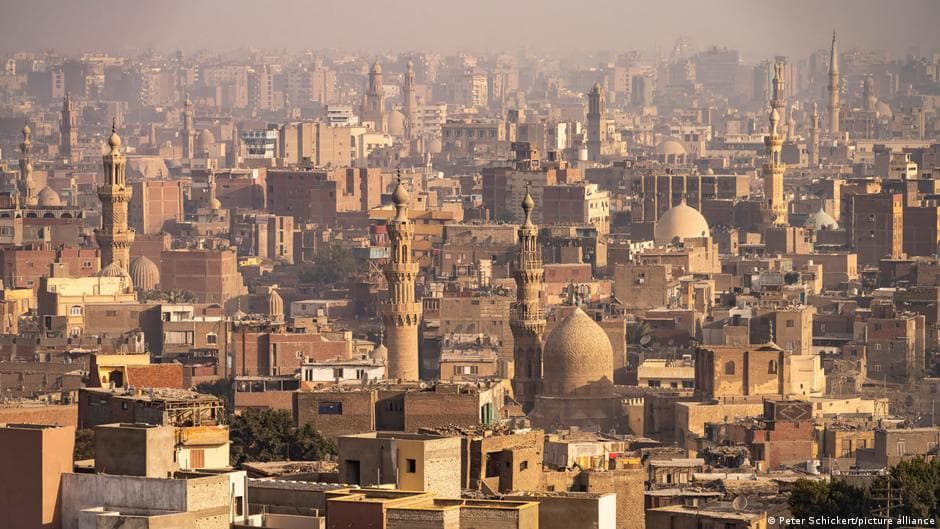 Egypt's Tree Confrontation: Causes and Consequences