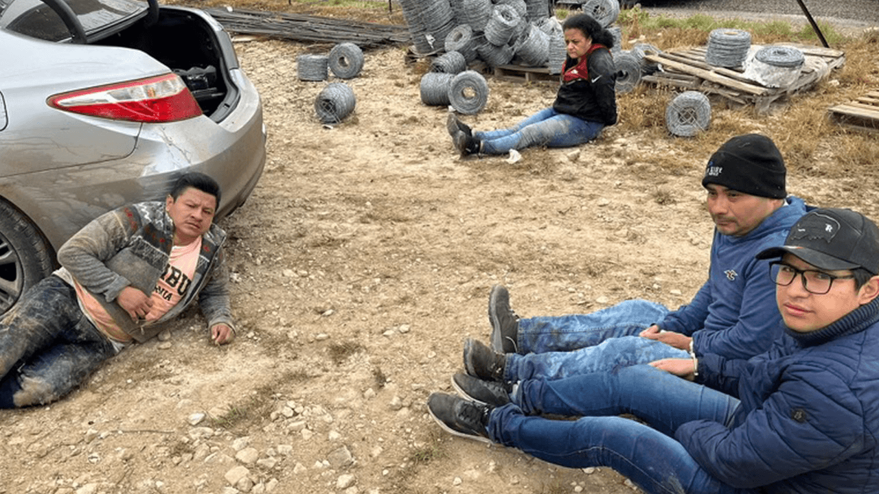 Mike Davis: Census solutions after birthright citizenship issues