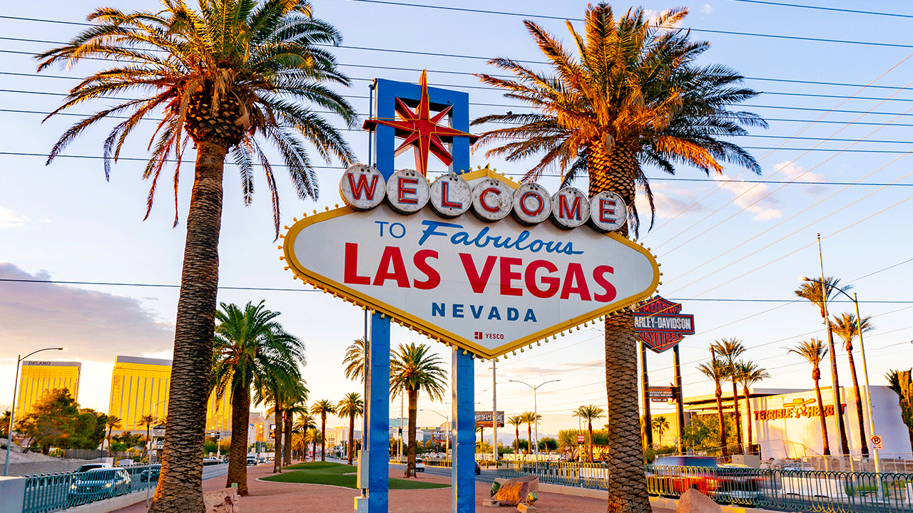 Chaotic Vegas Trip Ends with Losses and Diversions