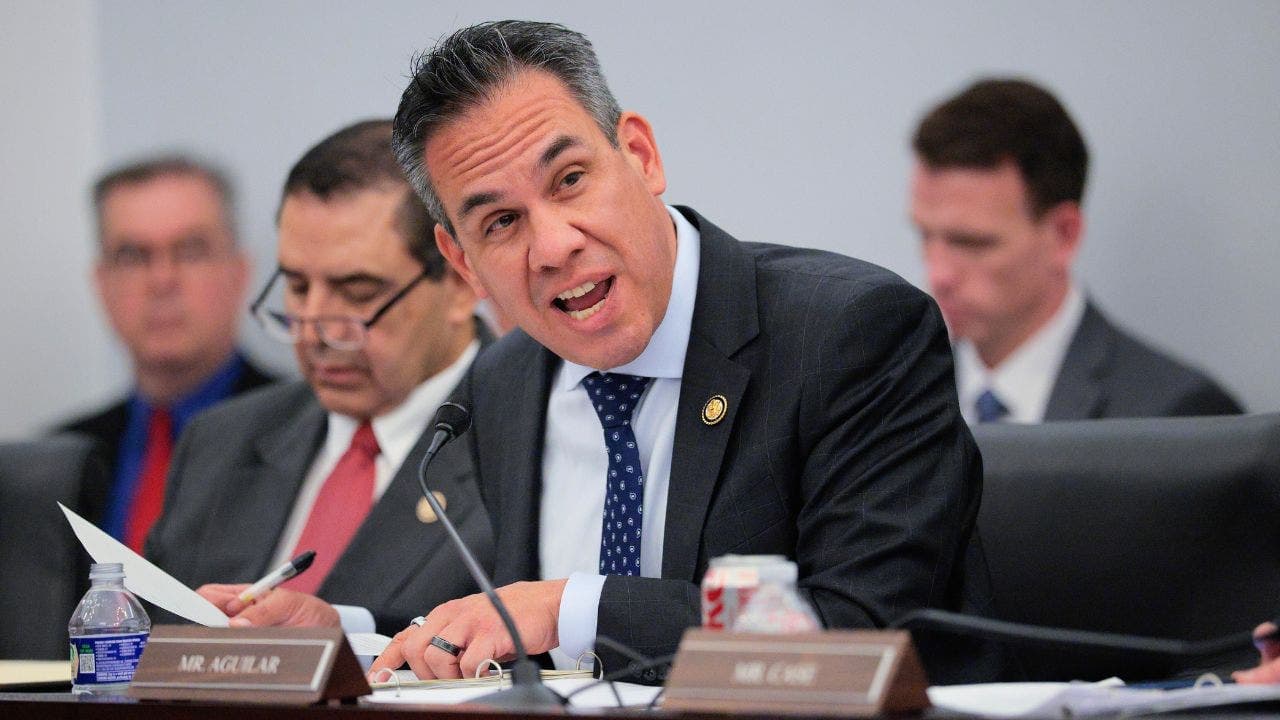 Dem leader's voter ID criticism backfires after fraud bust