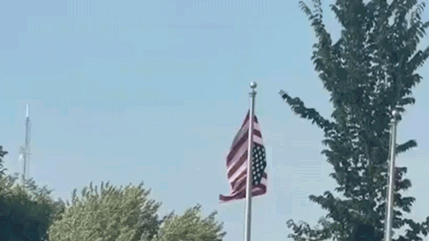 Upside-down American flag at Minnesota Somali celebration sparks community chaos, described as 'unfathomable'