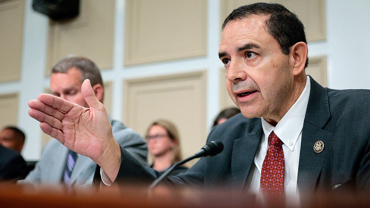 Dem Rep Cuellar opposes DSA agenda