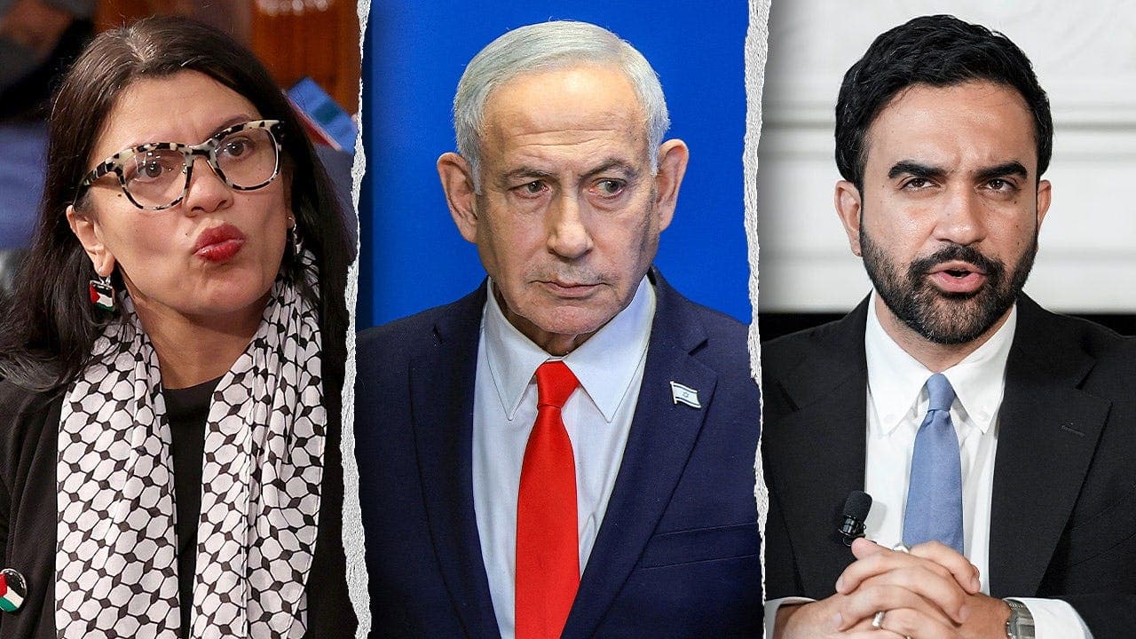 Tlaib Offers Help in Netanyahu Arrest