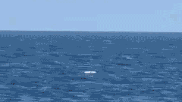 Ukraine targets Black Sea Fleet stronghold