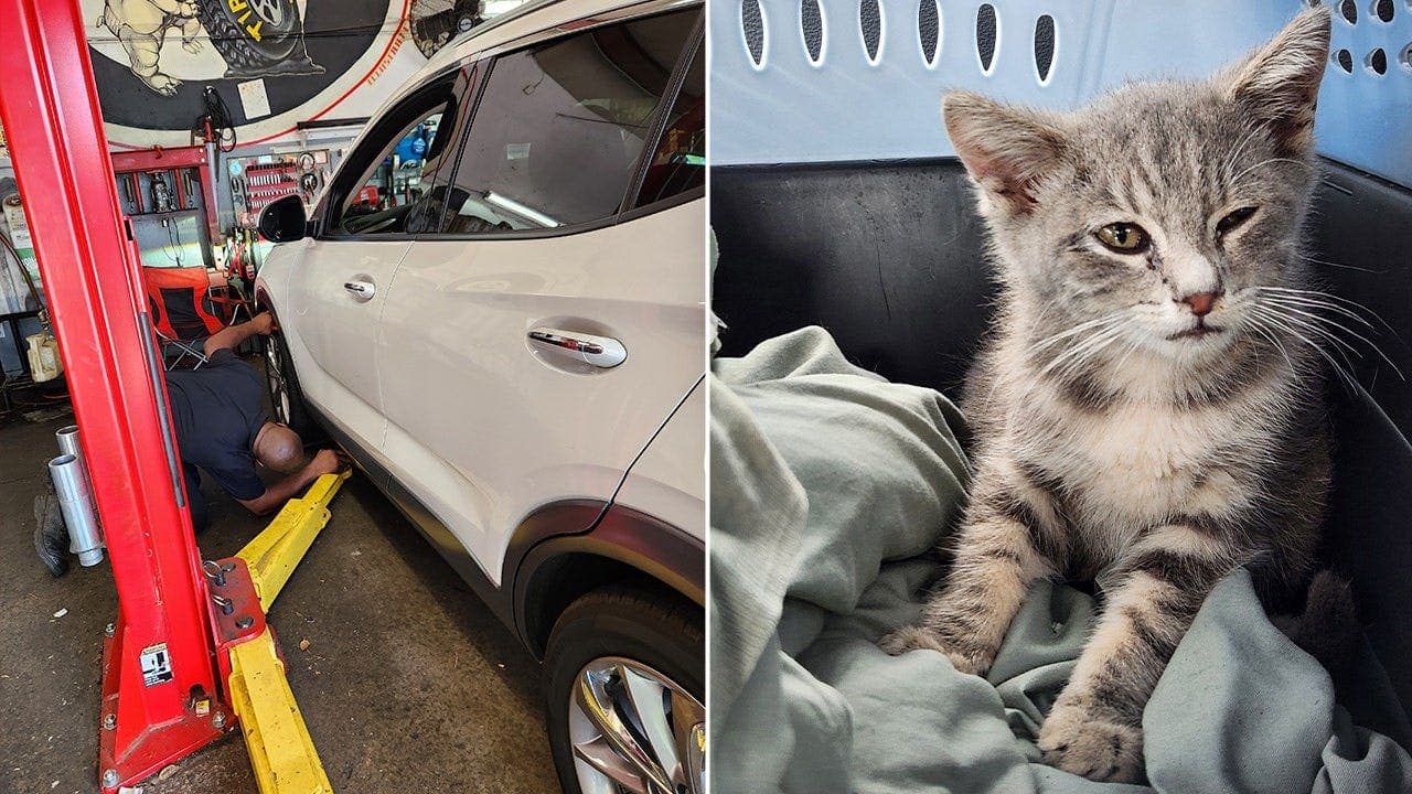 Traveler trapped under car gets new chance