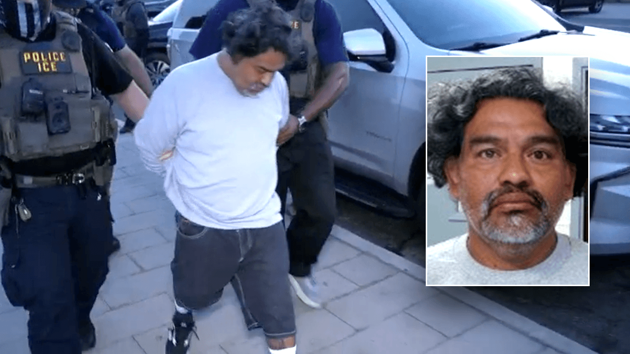 Illegal entrant admits mistake leading to ICE arrest