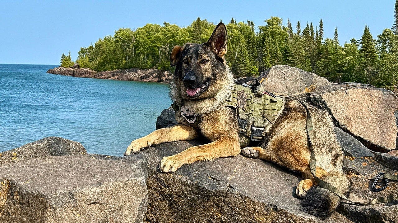 Dog-Friendly Road Trip in Minnesota