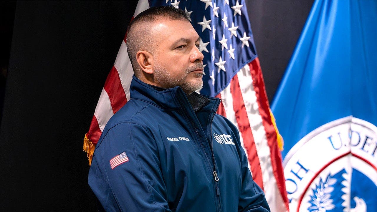 Georgia ICE roundup detains over 700 offenders