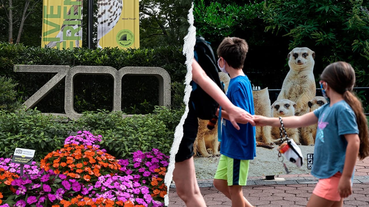 Smithsonian’s woke agenda at US zoo