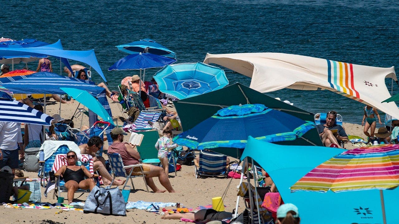 Coastal Escape Adapts to Shark Presence