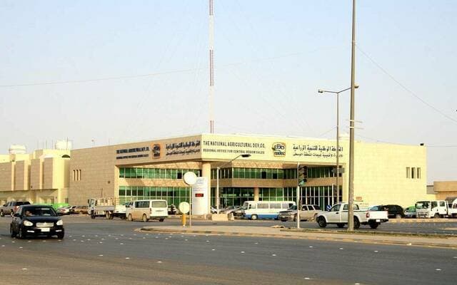 تراجع أرباح نادك إلى 30.4 مليون ريال في الربع الثالث