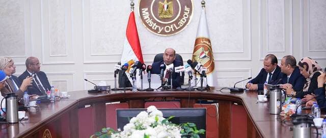 Egypt issues rules for private sector work