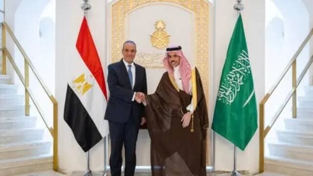 سعومصر يناقشان مستجدات المنطقة