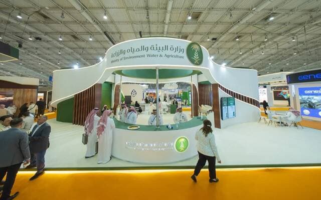 Saudi Poultry Output Exceeds 1.4M Tons