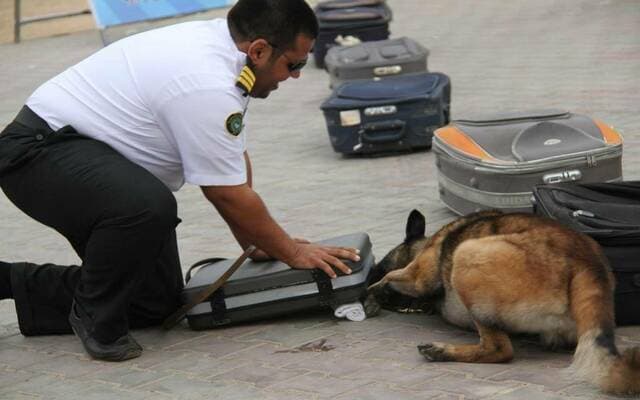 1057 seizures at customs ports this week include weapons and drugs