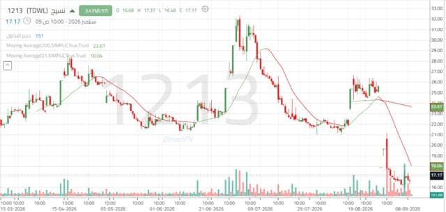 Naseej stock remains stable amid sideways trends