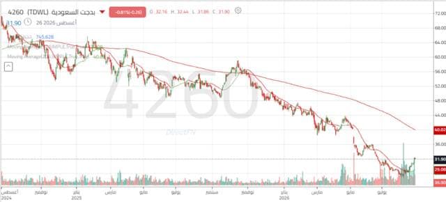 Al-Badijet Saudi Arabia's Shares Recover Amid Increased Trading