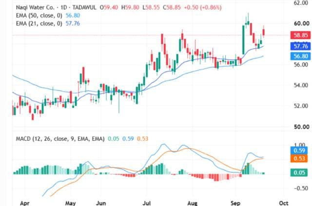Naqi's share tests resistance amid mixed signals