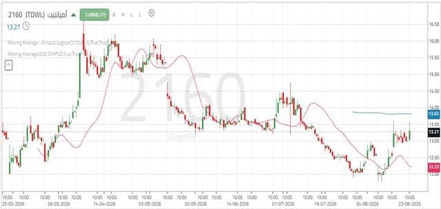 Amiante stock rebounds after stability
