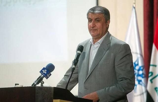 Iran contests Austria ban for nuclear chief
